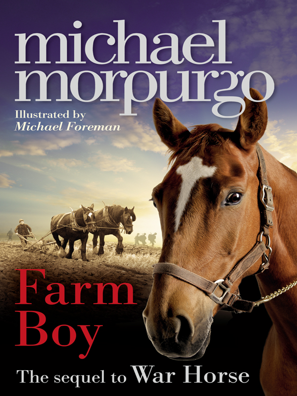 Обложка книги «Farm Boy»
