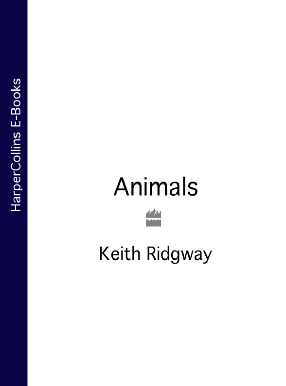 Обложка книги «Animals»