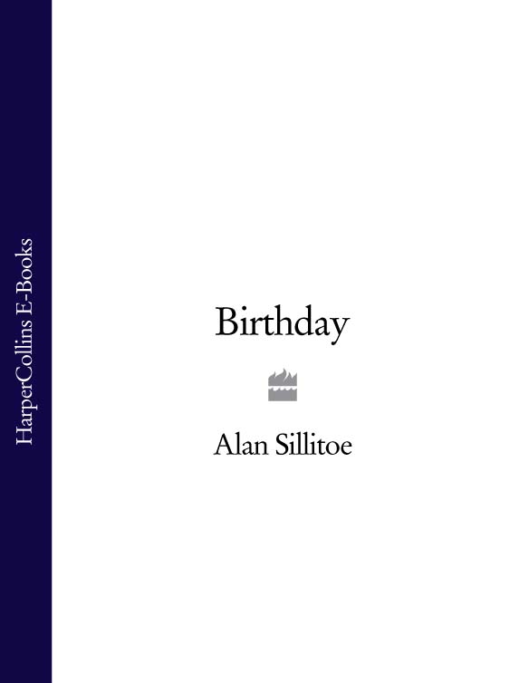 Обложка книги «Birthday»