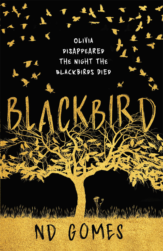 Обложка книги «Blackbird»