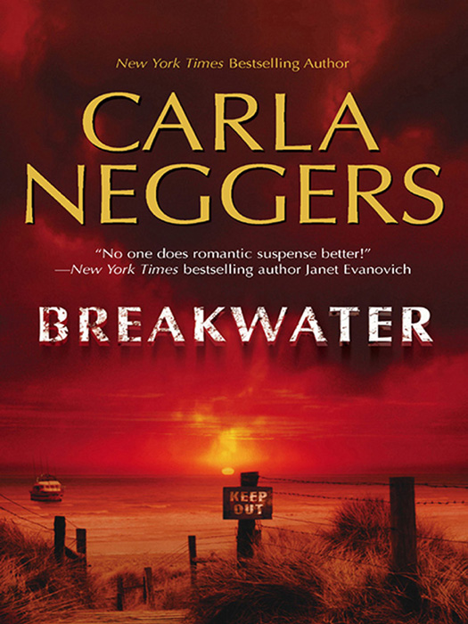 Обложка книги «Breakwater»