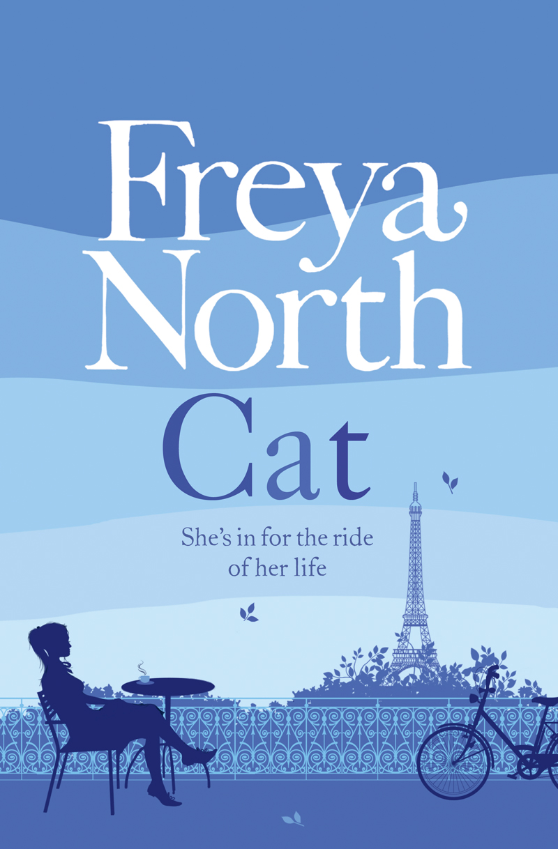 Обложка книги «Cat»