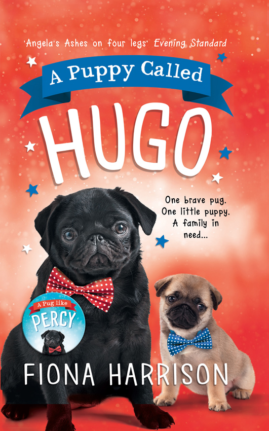 Обложка книги «A Puppy Called Hugo»