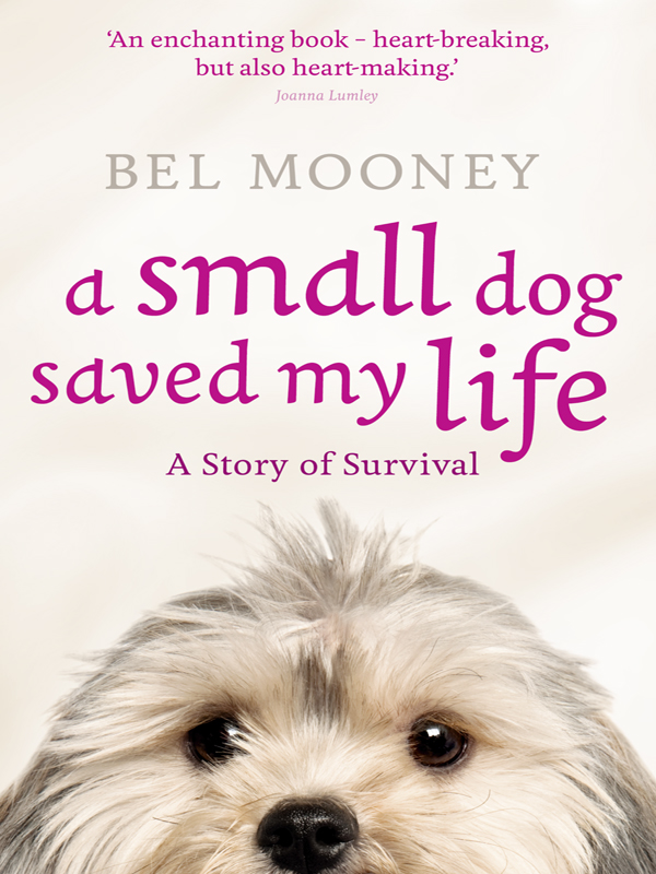 Обложка книги «A Small Dog Saved My Life»