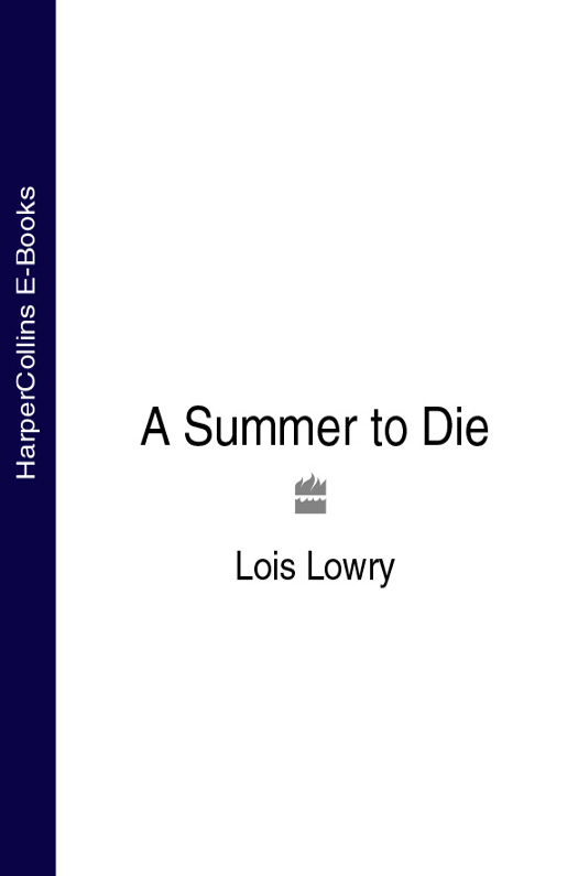 Обложка книги «A Summer to Die»