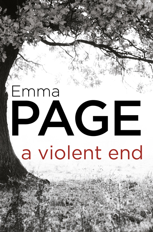 Обложка книги «A Violent End»