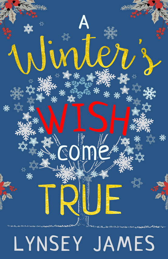Обложка книги «A Winter’s Wish Come True»