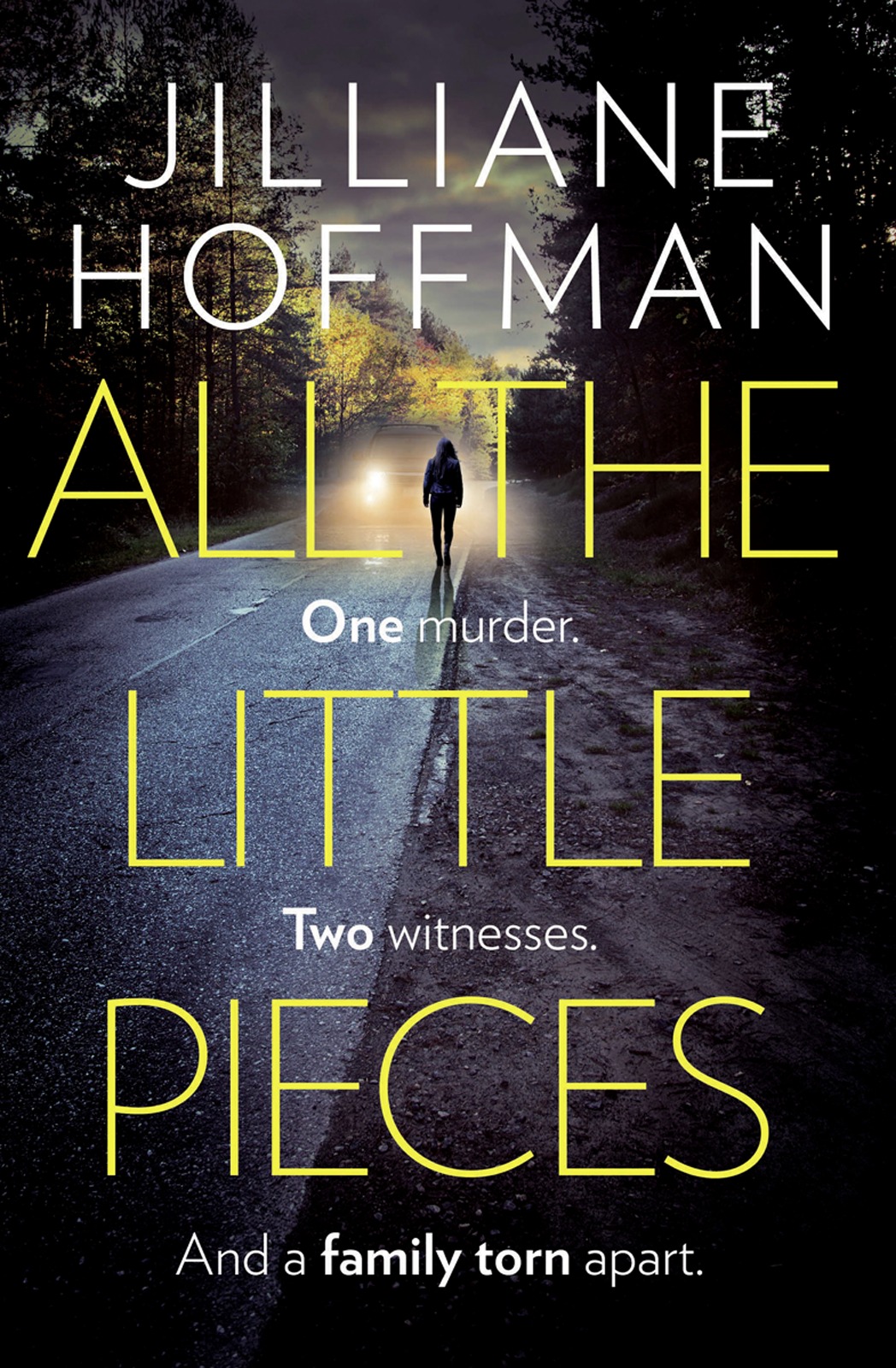 Обложка книги «All the Little Pieces»