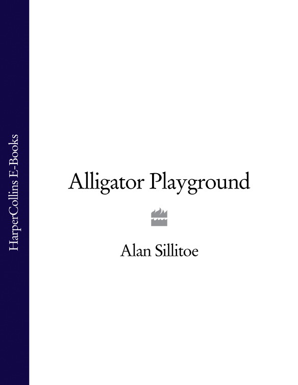 Обложка книги «Alligator Playground»