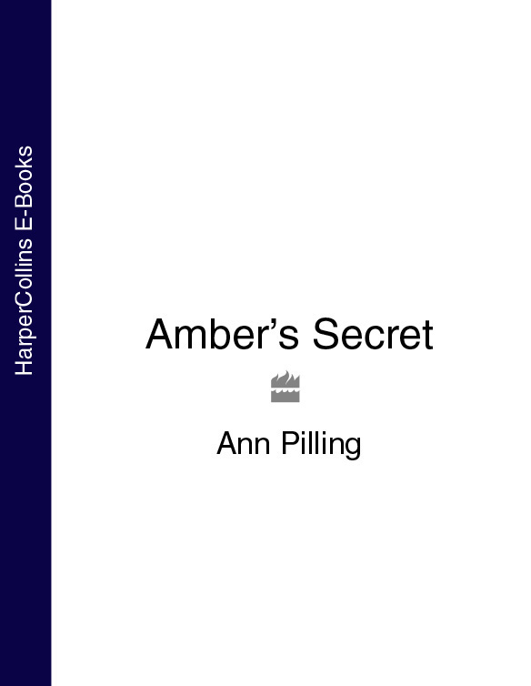 Обложка книги «Amber’s Secret»