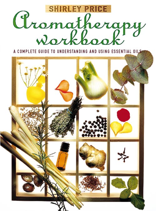 Обложка книги «Aromatherapy Workbook»