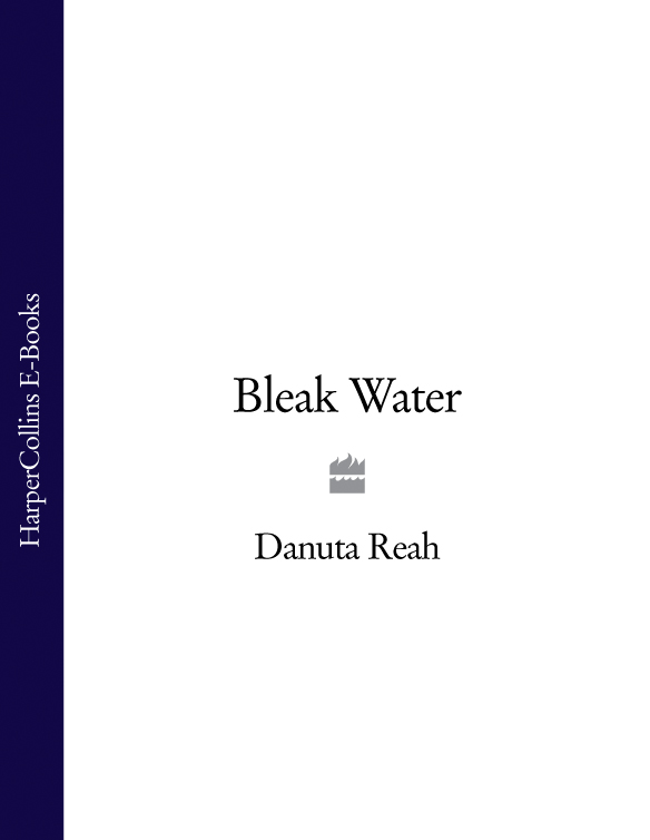 Обложка книги «Bleak Water»