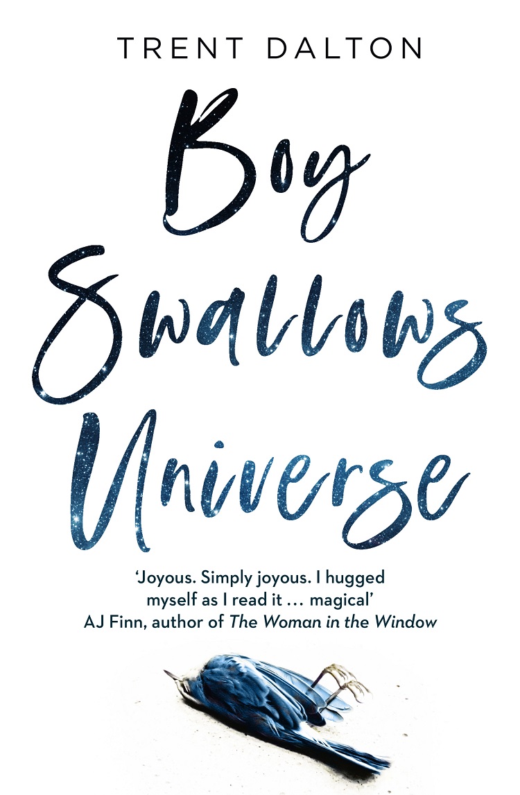 Обложка книги «Boy Swallows Universe»