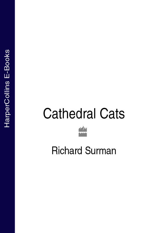 Обложка книги «Cathedral Cats»