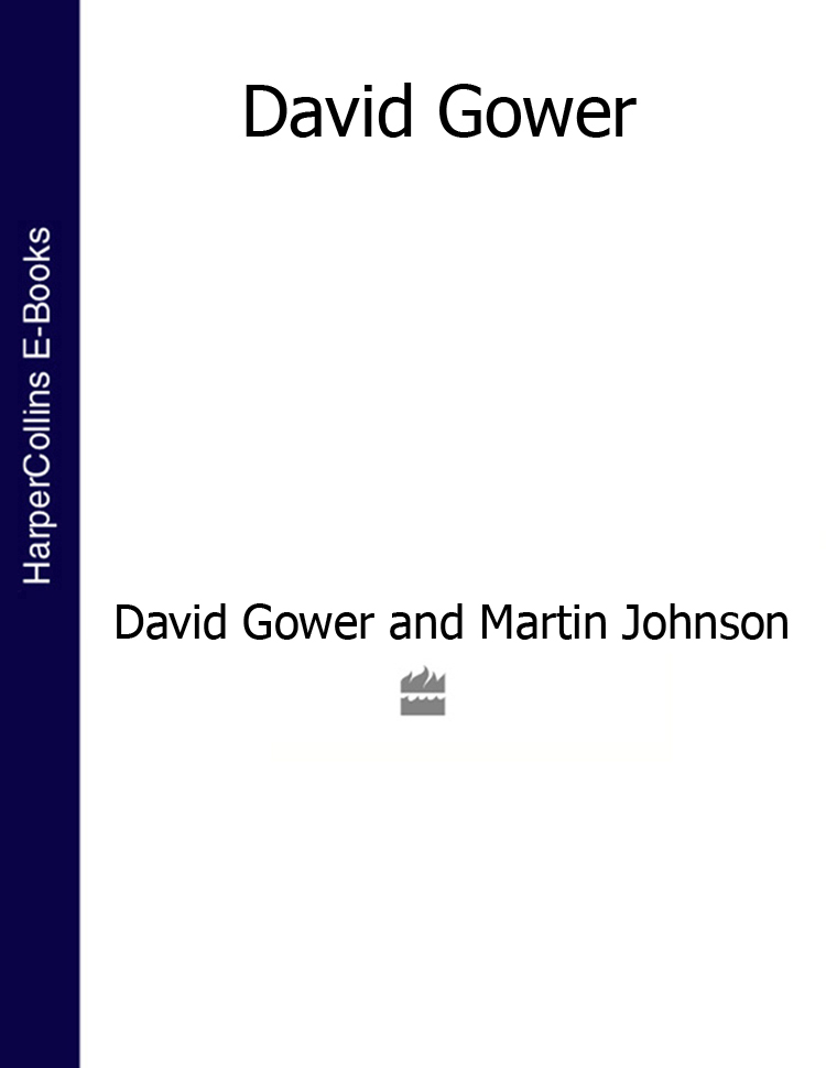 Обложка книги «David Gower (Text Only)»