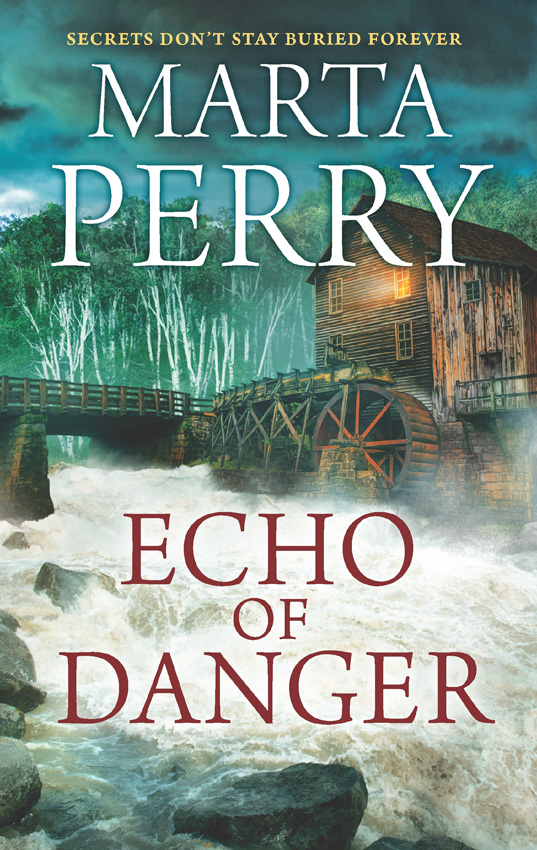 Обложка книги «Echo Of Danger»
