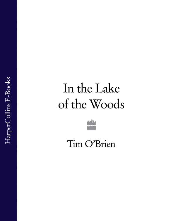 Обложка книги «In the Lake of the Woods»