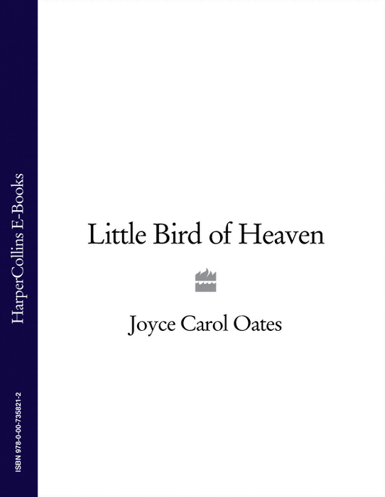 Обложка книги «Little Bird of Heaven»