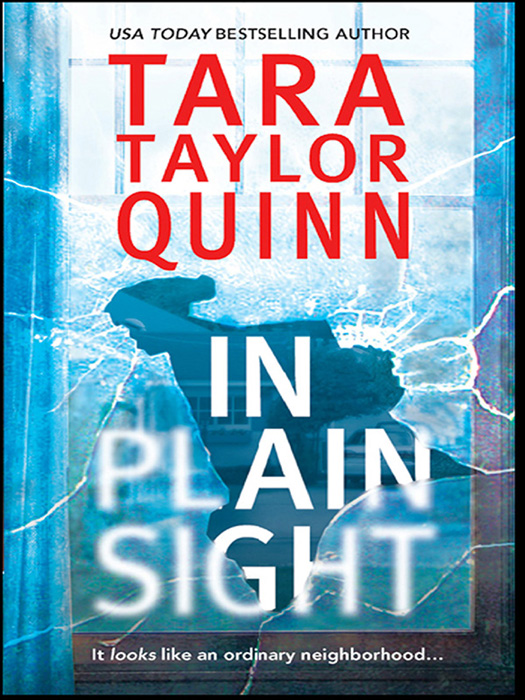 Обложка книги «In Plain Sight»