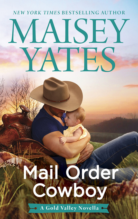 Обложка книги «Mail Order Cowboy»