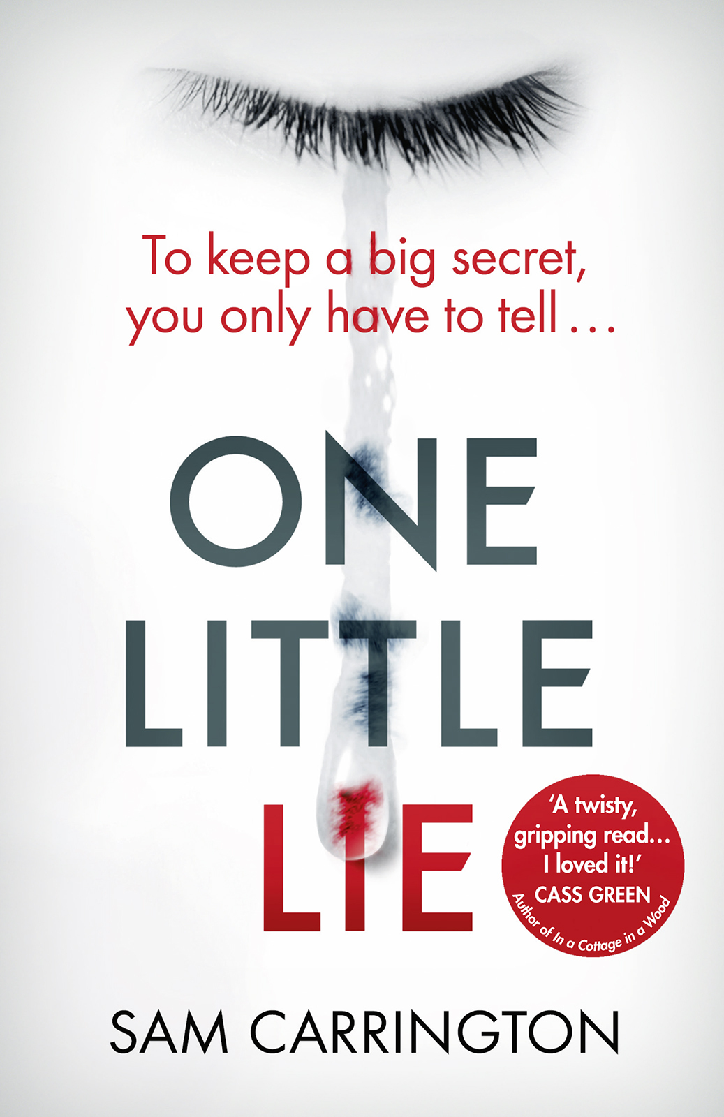 Обложка книги «One Little Lie»