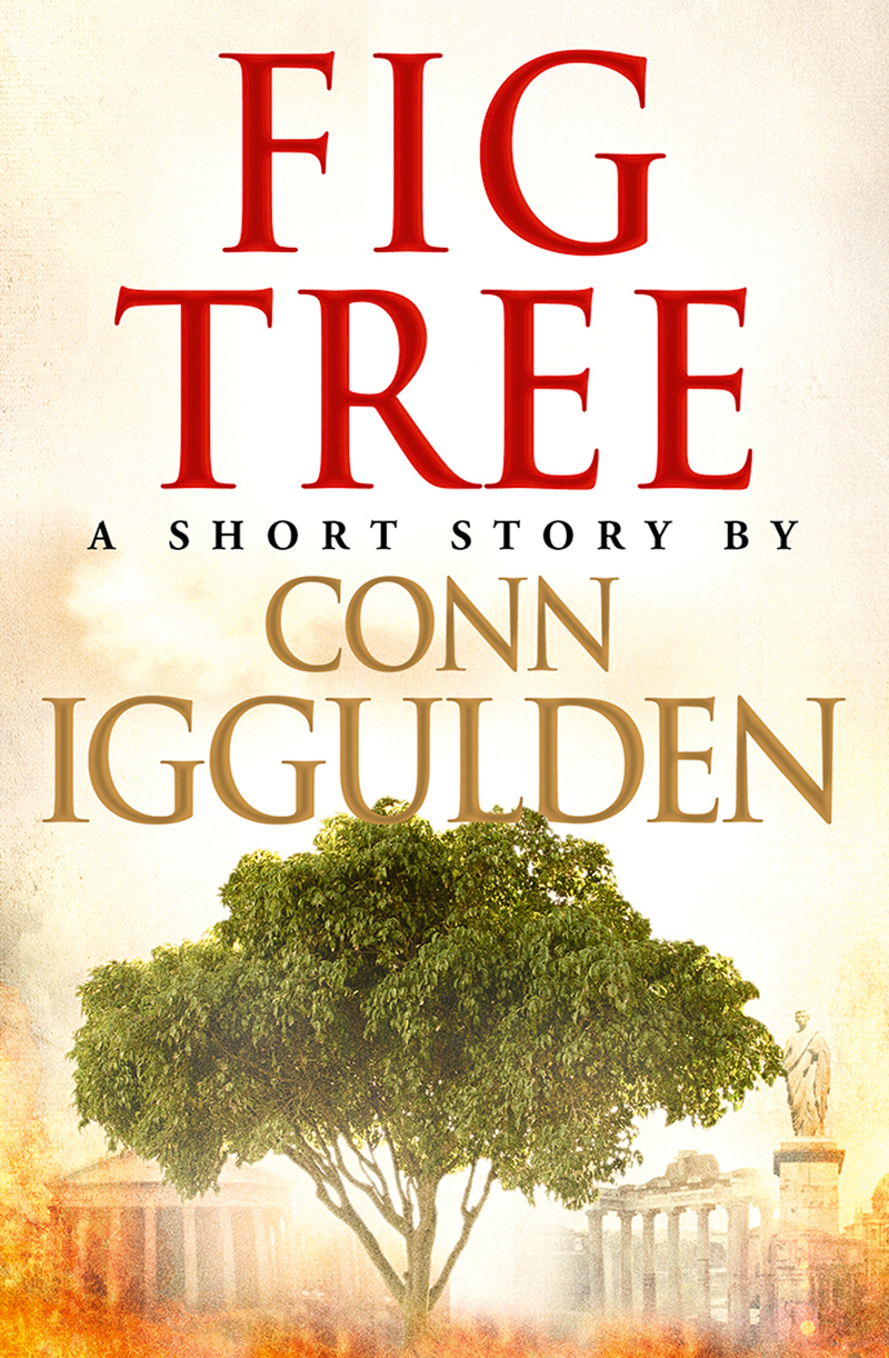 Обложка книги «Fig Tree»