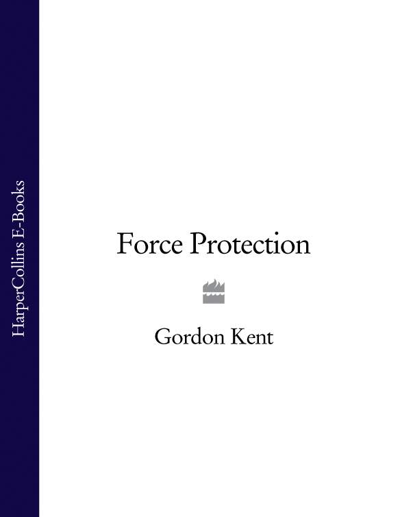 Обложка книги «Force Protection»