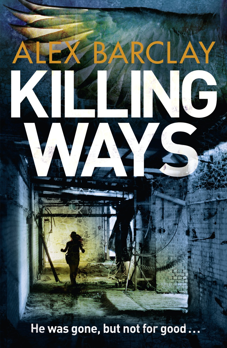 Обложка книги «Killing Ways»