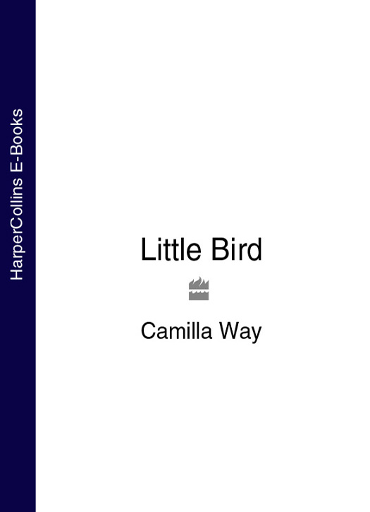 Обложка книги «Little Bird»