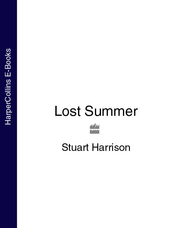 Обложка книги «Lost Summer»