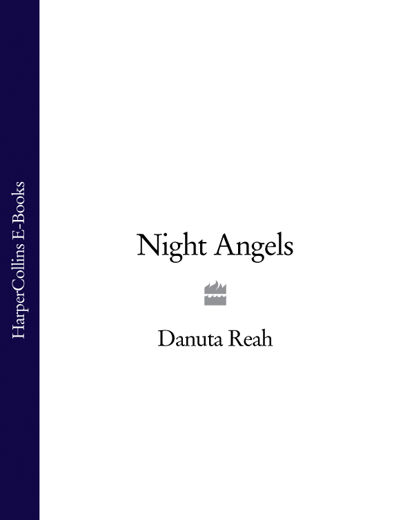 Обложка книги «Night Angels»
