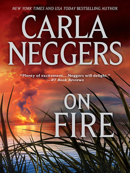 Обложка книги «On Fire»