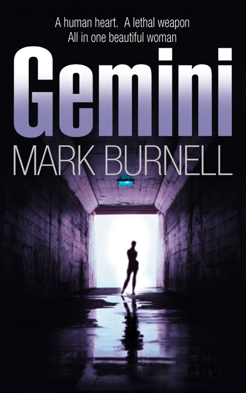 Обложка книги «Gemini»