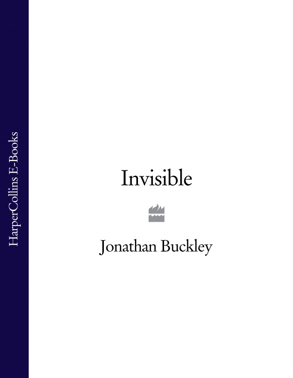 Обложка книги «Invisible»