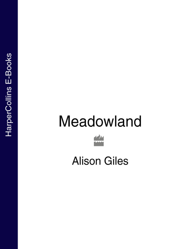 Обложка книги «Meadowland»