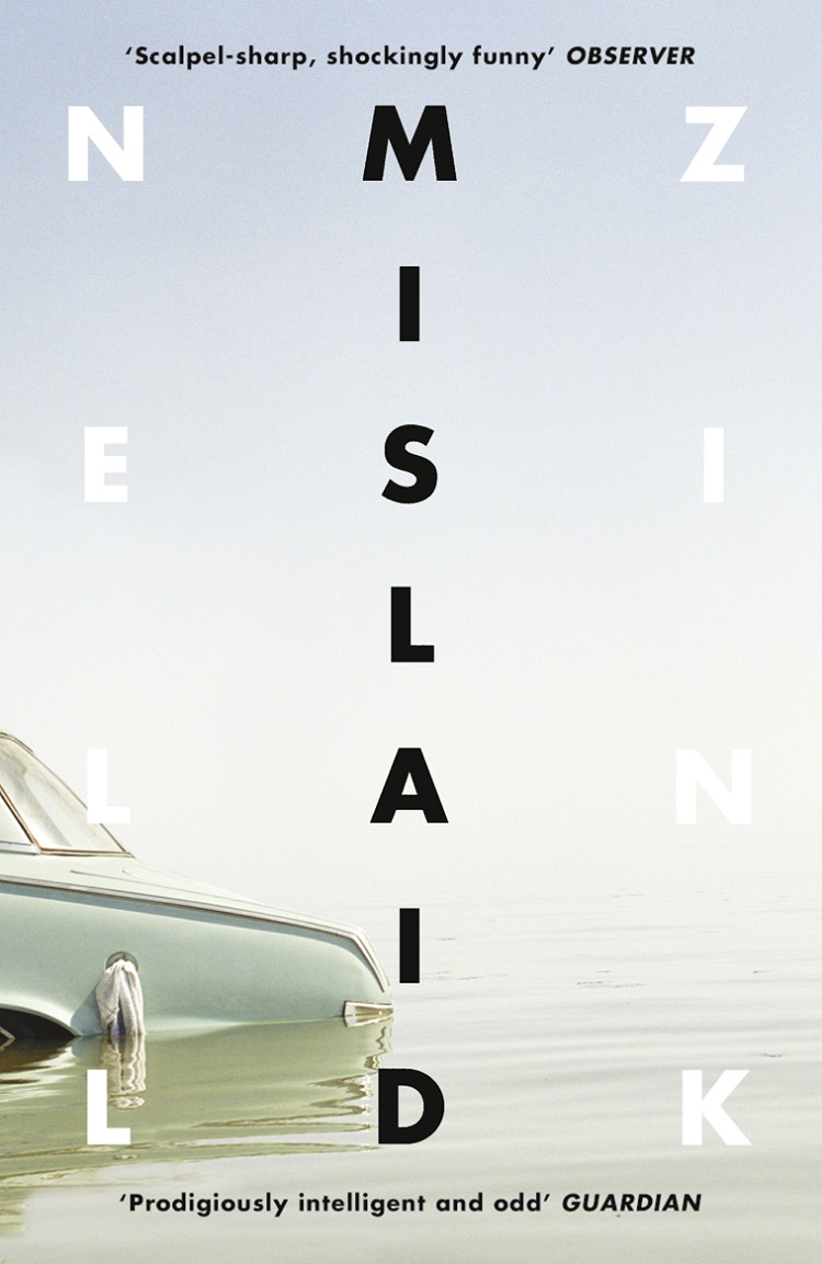 Обложка книги «Mislaid»
