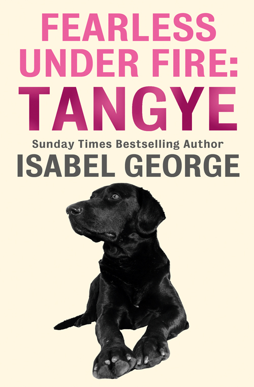 Обложка книги «Fearless Under Fire: Tangye»
