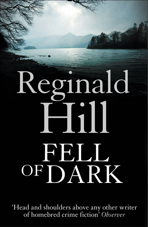 Обложка книги «Fell of Dark»