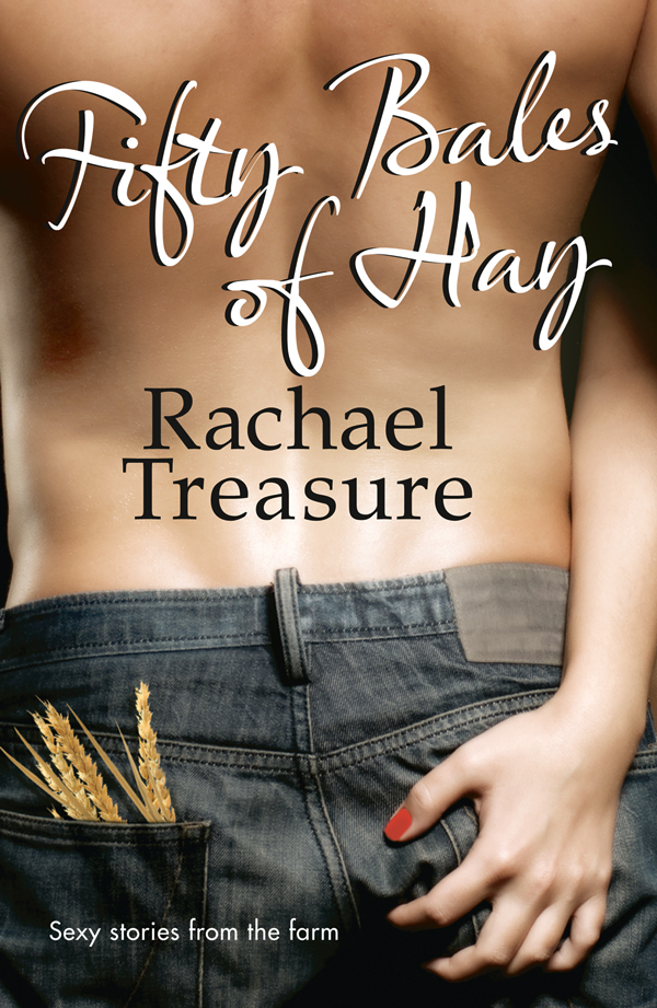 Обложка книги «Fifty Bales of Hay»