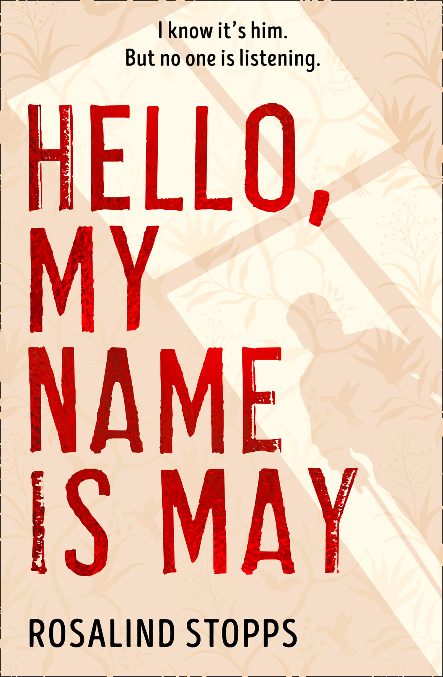 Обложка книги «Hello, My Name is May»