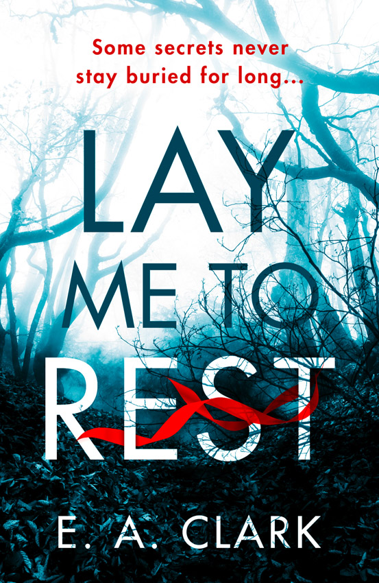 Обложка книги «Lay Me to Rest»