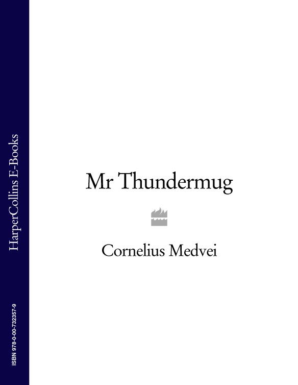 Обложка книги «Mr Thundermug»