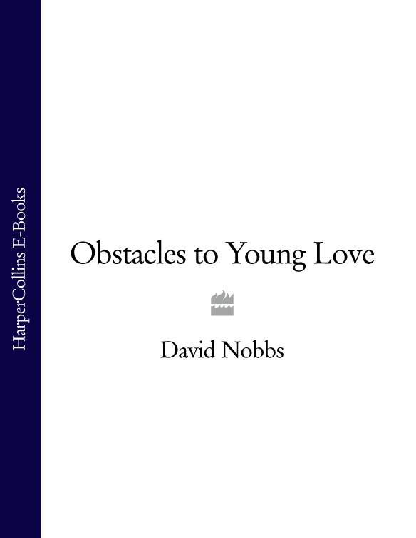 Обложка книги «Obstacles to Young Love»