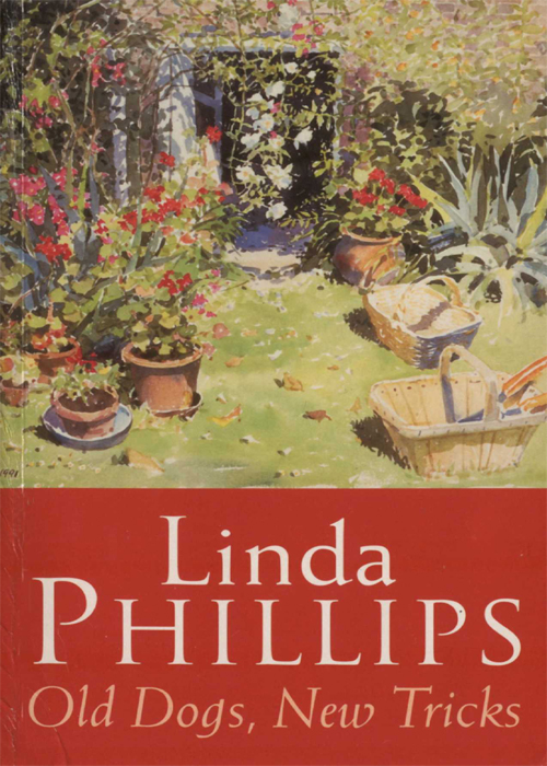 Обложка книги «Old Dogs, New Tricks»