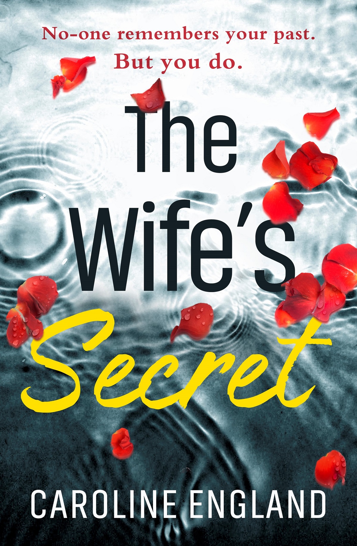 Обложка книги «The Wife’s Secret: A dark psychological thriller with a stunning twist»
