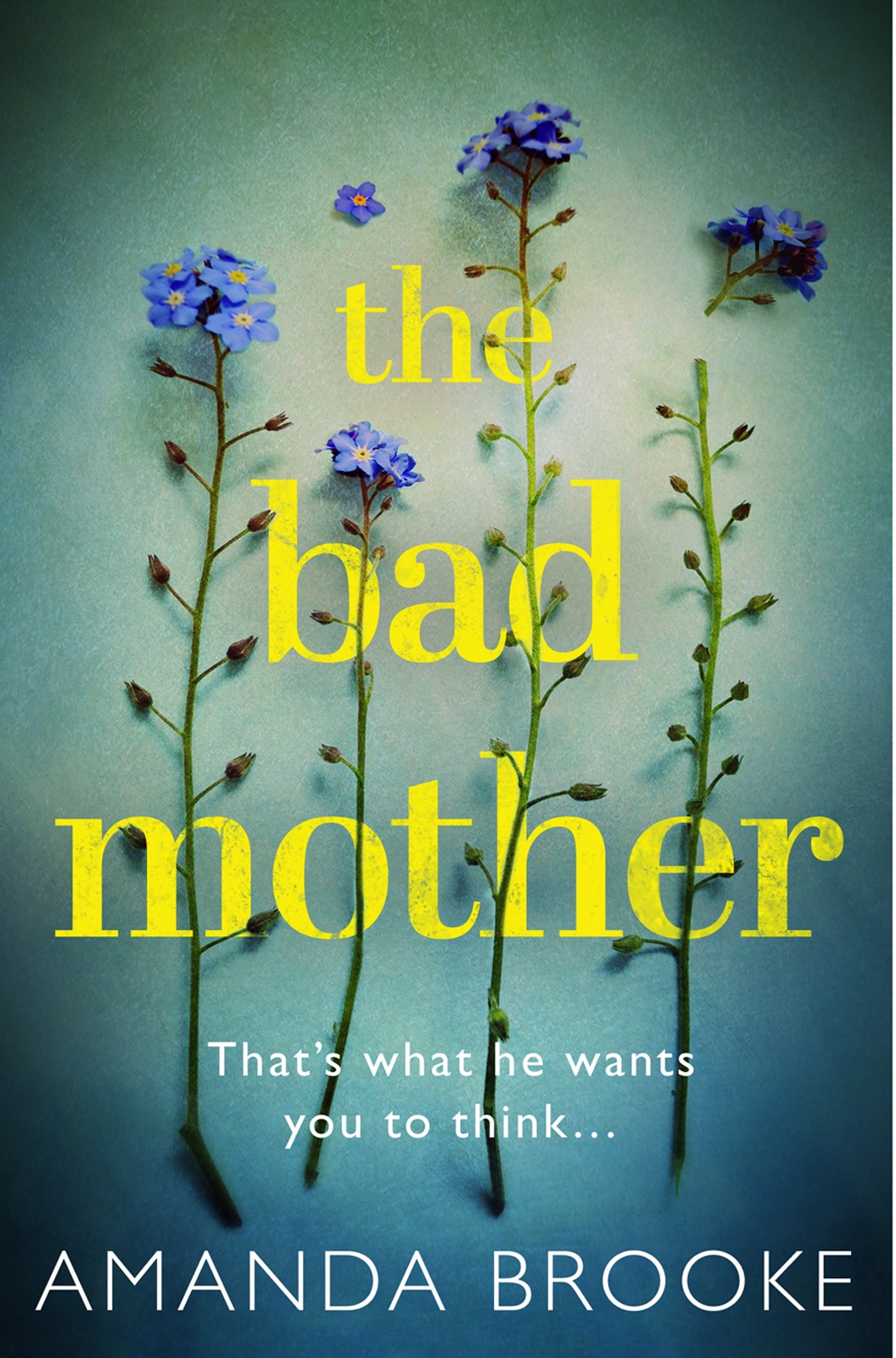 Обложка книги «The Bad Mother: The addictive, gripping thriller that will make you question everything»