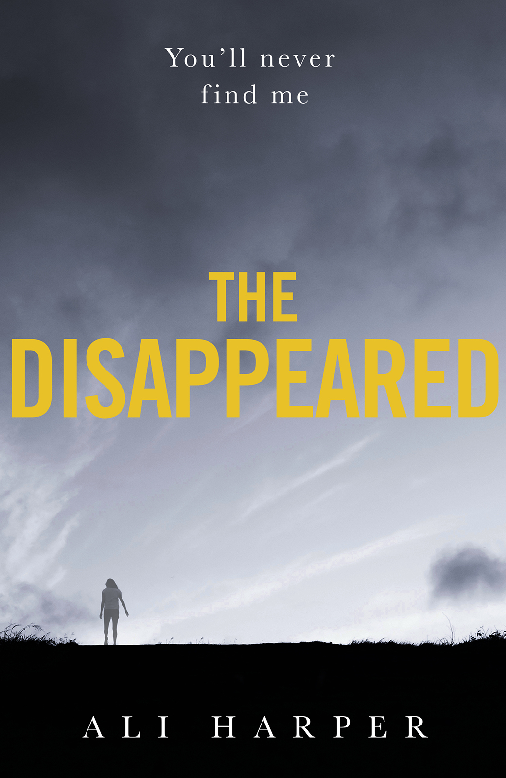 Обложка книги «The Disappeared: A gripping crime mystery full of twists and turns!»