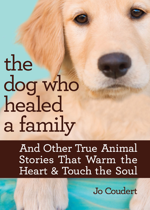 Обложка книги «The Dog Who Healed A Family»