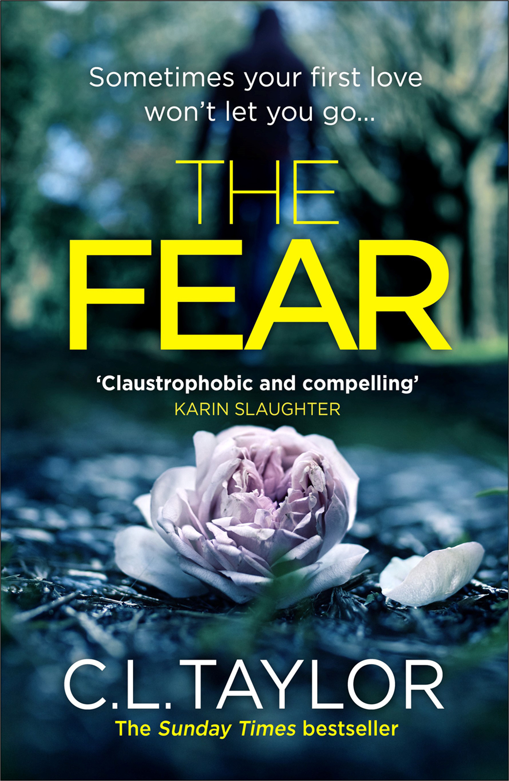 Обложка книги «The Fear: The sensational new thriller from the Sunday Times bestseller that you need to read in 2018»