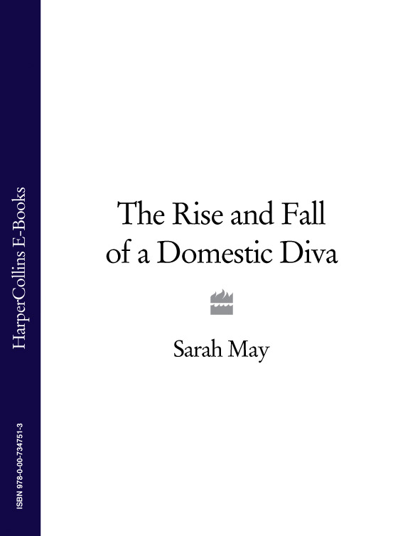 Обложка книги «The Rise and Fall of a Domestic Diva»